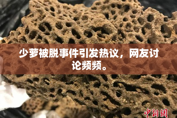 少萝被脱事件引发热议，网友讨论频频。