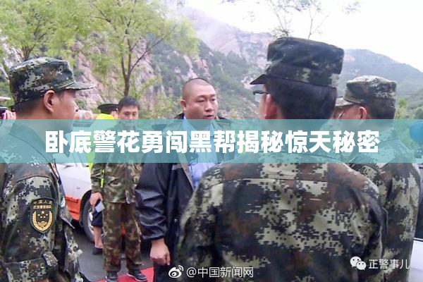 卧底警花勇闯黑帮揭秘惊天秘密