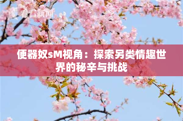 便器奴sM视角：探索另类情趣世界的秘辛与挑战