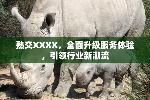 熟交XXXX，全面升级服务体验，引领行业新潮流