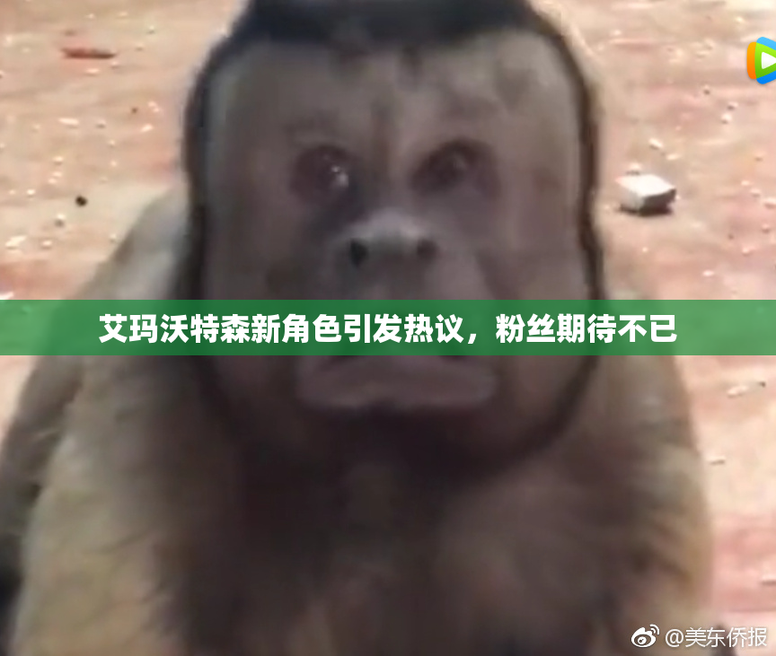 艾玛沃特森新角色引发热议，粉丝期待不已