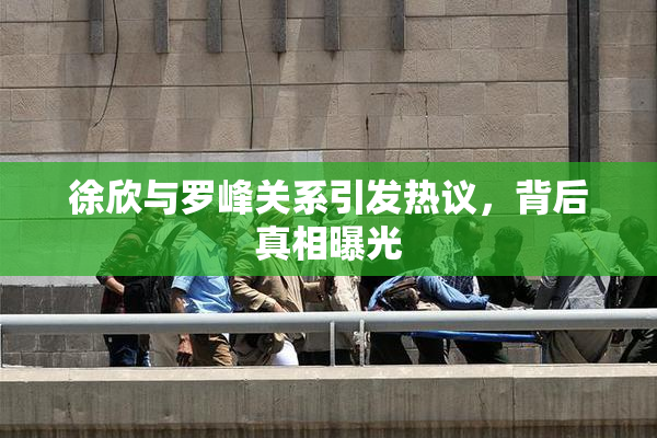 徐欣与罗峰关系引发热议，背后真相曝光