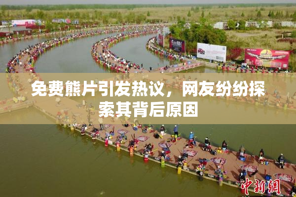 免费熊片引发热议，网友纷纷探索其背后原因