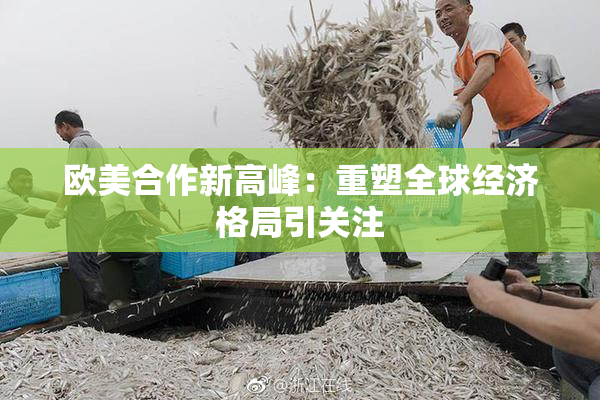 欧美合作新高峰：重塑全球经济格局引关注