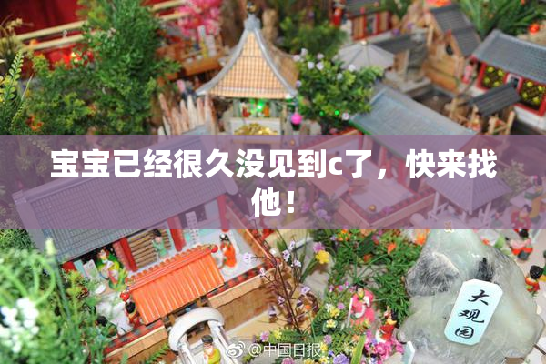 宝宝已经很久没见到c了，快来找他！