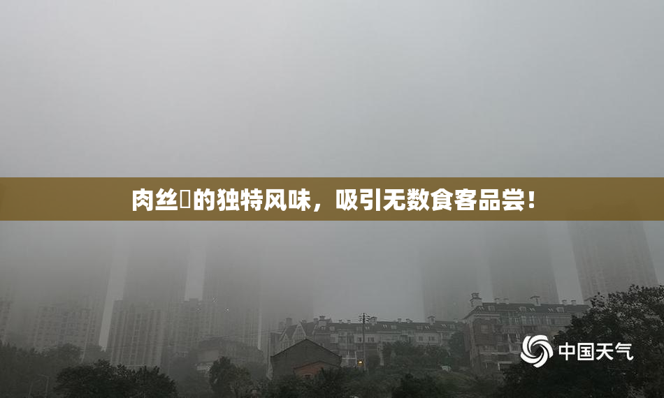 肉丝祙的独特风味，吸引无数食客品尝！