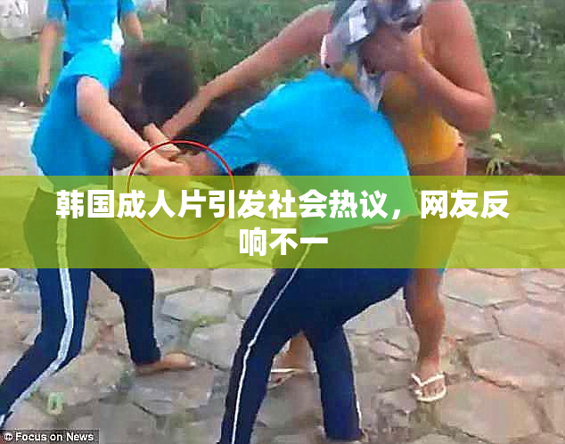 韩国成人片引发社会热议，网友反响不一