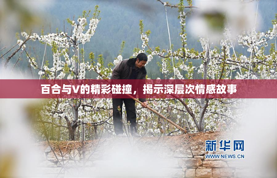百合与V的精彩碰撞，揭示深层次情感故事