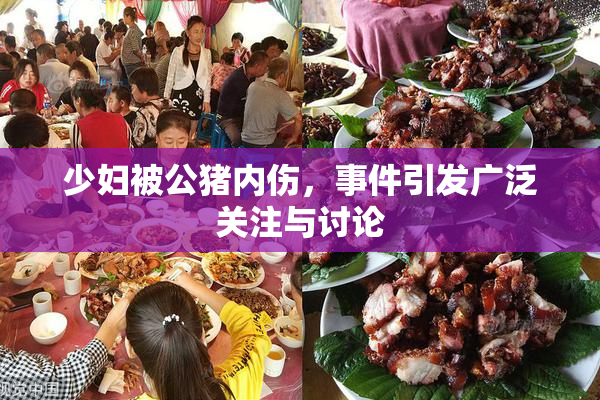 少妇被公猪内伤，事件引发广泛关注与讨论