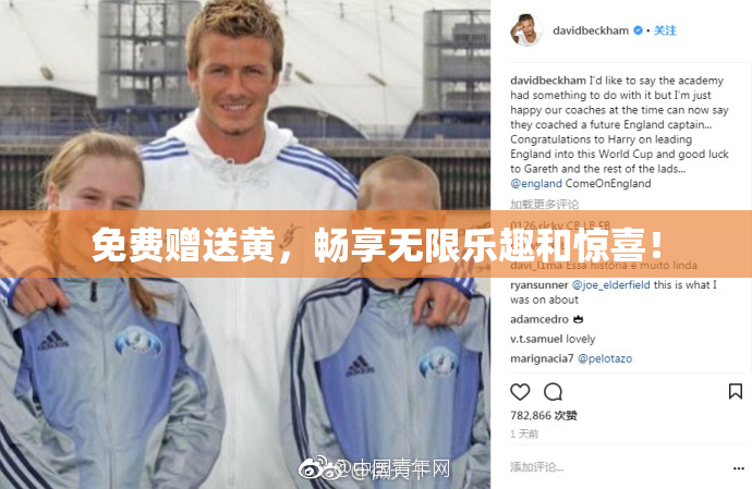免费赠送黄，畅享无限乐趣和惊喜！