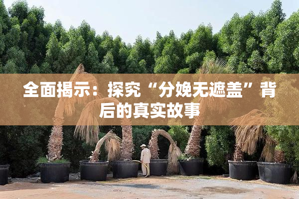 全面揭示：探究“分娩无遮盖”背后的真实故事
