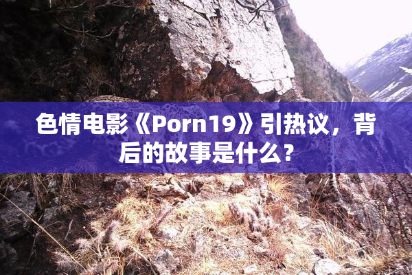 色情电影《Porn19》引热议，背后的故事是什么？