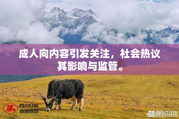 成人向内容引发关注，社会热议其影响与监管。