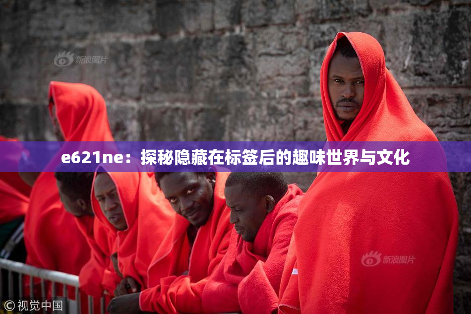 e621ne：探秘隐藏在标签后的趣味世界与文化