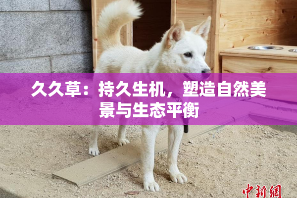 久久草：持久生机，塑造自然美景与生态平衡