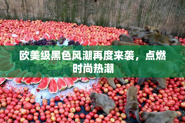 欧美级黑色风潮再度来袭，点燃时尚热潮