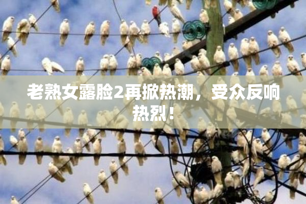老熟女露脸2再掀热潮，受众反响热烈！
