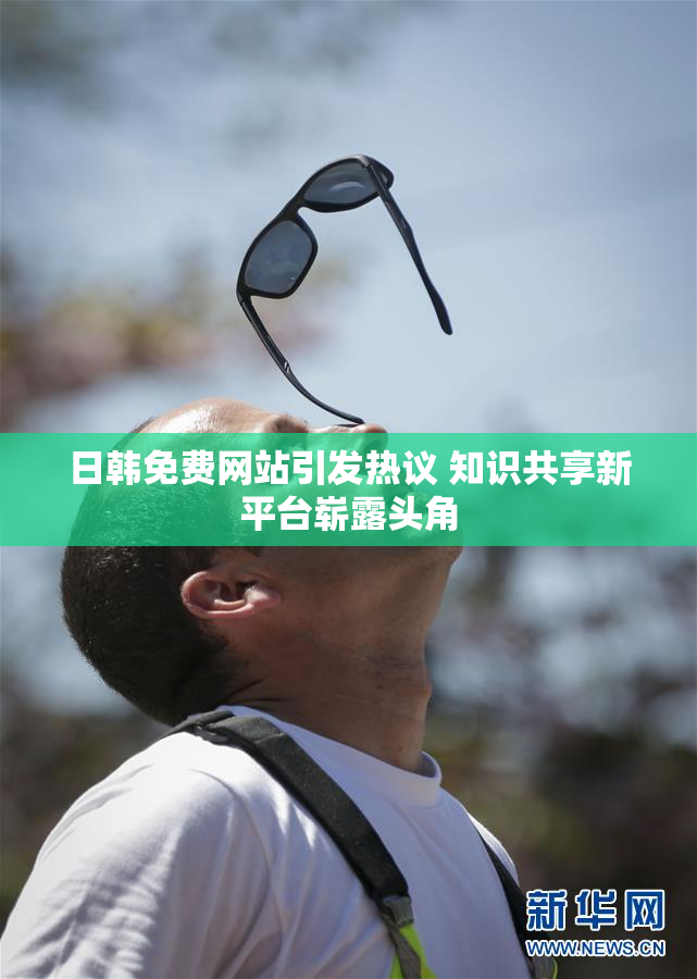 日韩免费网站引发热议 知识共享新平台崭露头角
