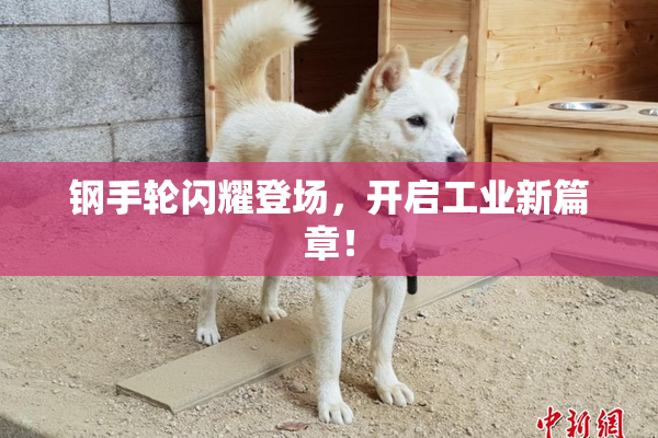 钢手轮闪耀登场，开启工业新篇章！