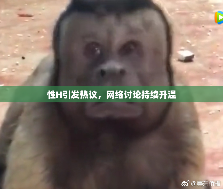 性H引发热议，网络讨论持续升温