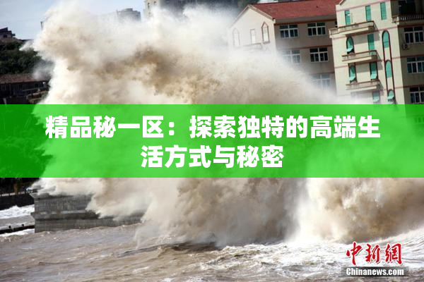 精品秘一区：探索独特的高端生活方式与秘密