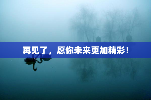 再见了，愿你未来更加精彩！