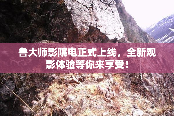 鲁大师影院电正式上线，全新观影体验等你来享受！