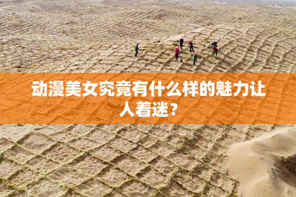 动漫美女究竟有什么样的魅力让人着迷？