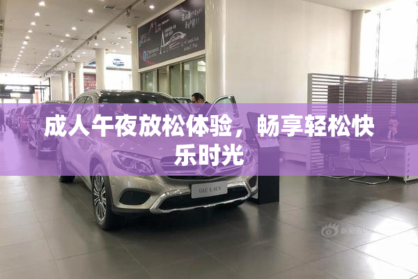 成人午夜放松体验，畅享轻松快乐时光