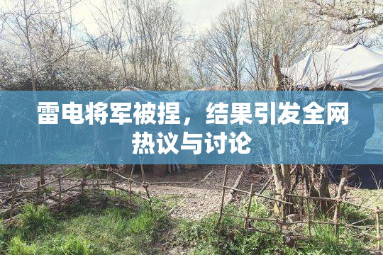 雷电将军被捏，结果引发全网热议与讨论