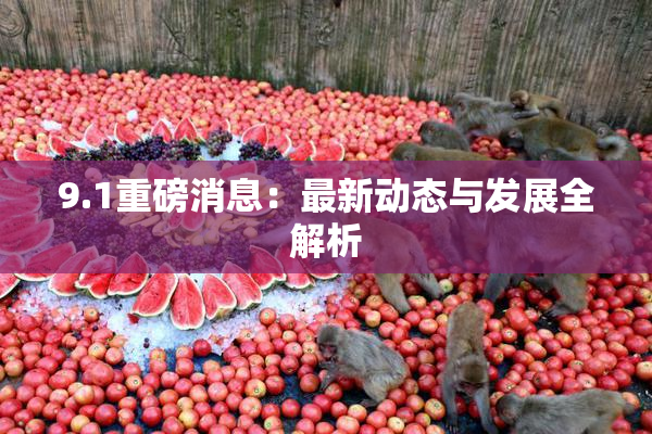 9.1重磅消息：最新动态与发展全解析