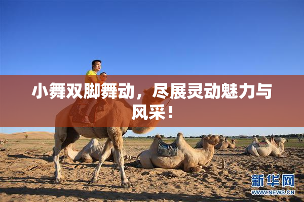 小舞双脚舞动，尽展灵动魅力与风采！