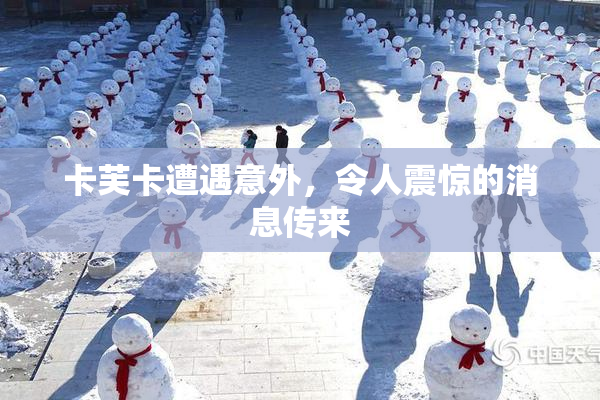 卡芙卡遭遇意外，令人震惊的消息传来