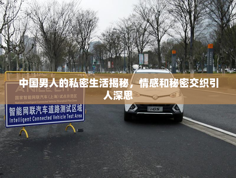 中国男人的私密生活揭秘，情感和秘密交织引人深思