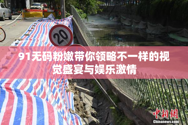 91无码粉嫩带你领略不一样的视觉盛宴与娱乐激情