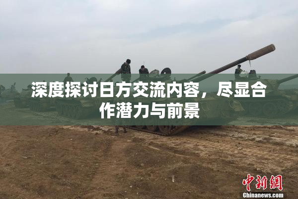 深度探讨日方交流内容，尽显合作潜力与前景