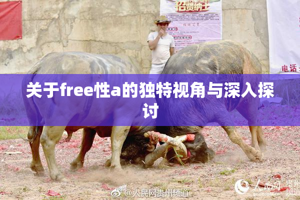 关于free性a的独特视角与深入探讨