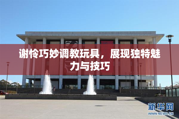 谢怜巧妙调教玩具，展现独特魅力与技巧