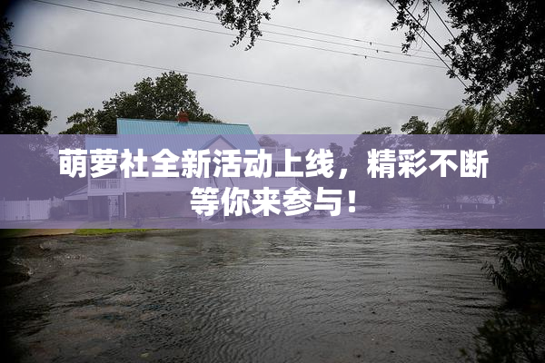 萌萝社全新活动上线，精彩不断等你来参与！