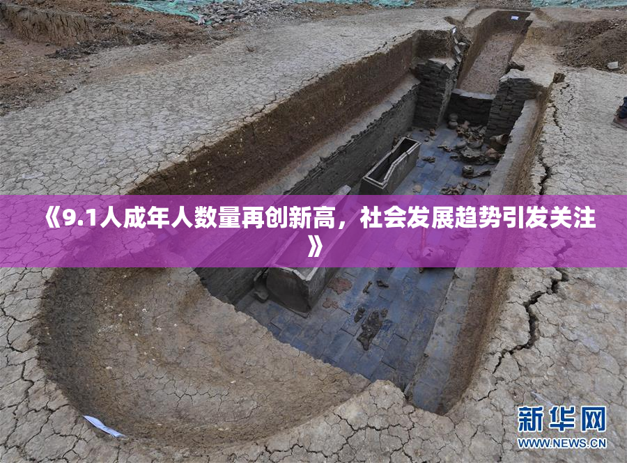 《9.1人成年人数量再创新高，社会发展趋势引发关注》
