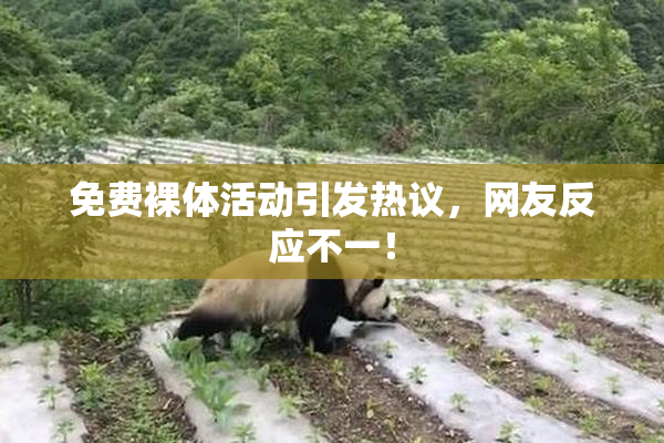 免费裸体活动引发热议，网友反应不一！