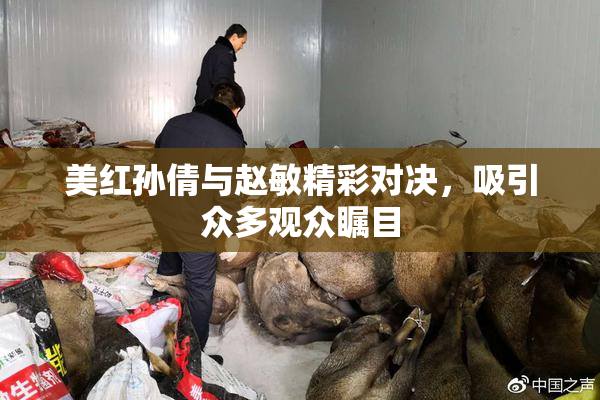 美红孙倩与赵敏精彩对决，吸引众多观众瞩目