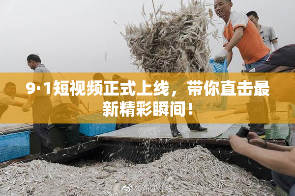 9·1短视频正式上线，带你直击最新精彩瞬间！