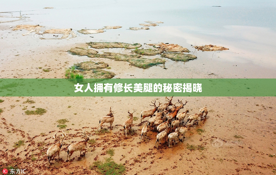 女人拥有修长美腿的秘密揭晓