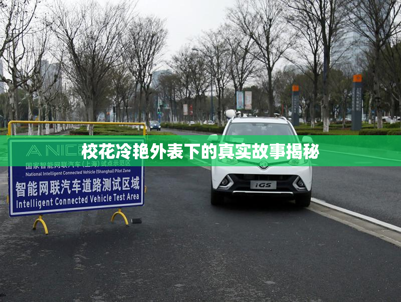 校花冷艳外表下的真实故事揭秘