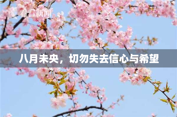 八月未央，切勿失去信心与希望