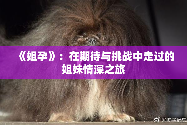 《姐孕》：在期待与挑战中走过的姐妹情深之旅