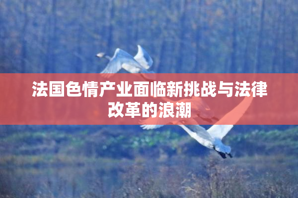 法国色情产业面临新挑战与法律改革的浪潮