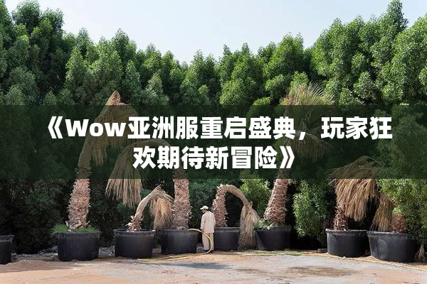 《Wow亚洲服重启盛典，玩家狂欢期待新冒险》