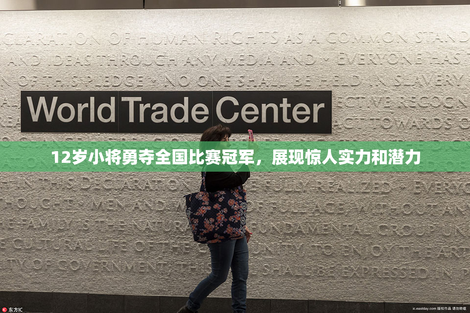 12岁小将勇夺全国比赛冠军，展现惊人实力和潜力
